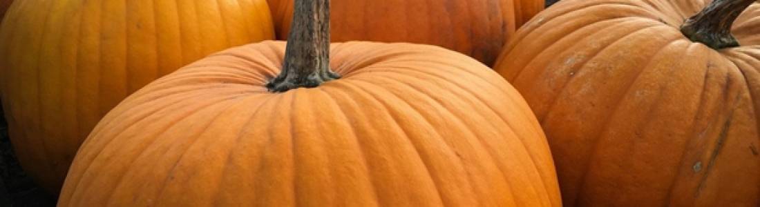 7 In-Season Foods Your Restaurant Should Use this Month